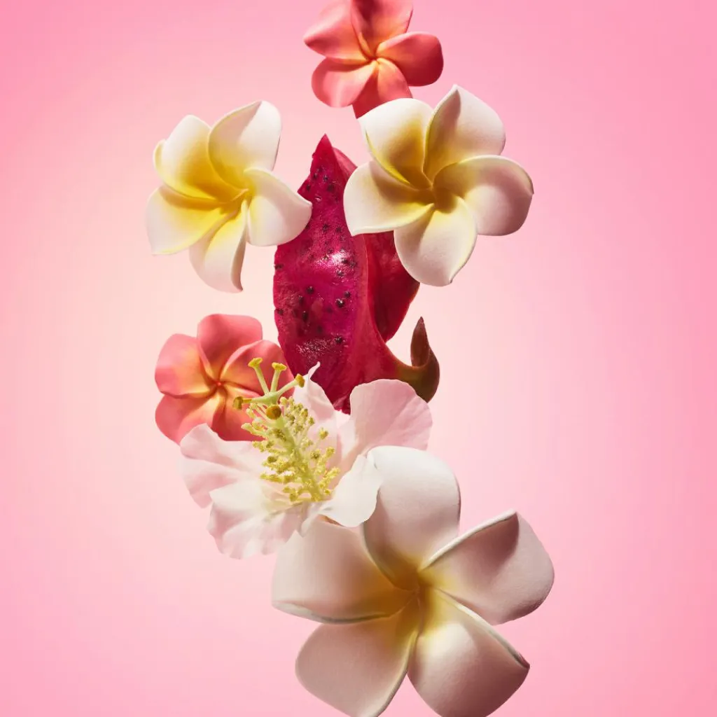 Sol de Janeiro Beija Flor Elasti-Body Oil< Bodyshampoo