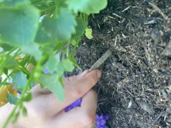 ECOstyle Blomster gødningspinde< Havetilbehør