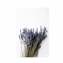 Less Is More Body & Room Mist< Kropspleje
