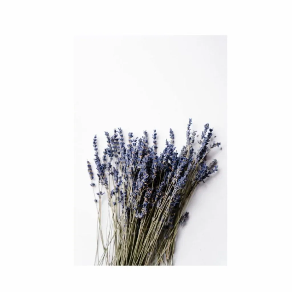 Less Is More Body & Room Mist< Kropspleje