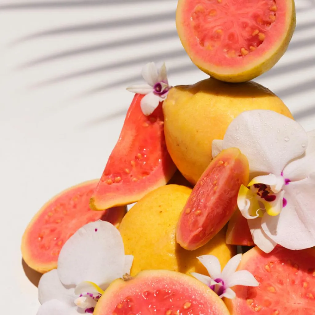 Sol de Janeiro Bodyspray|Parfumer Til Hende>Cheirosa 48