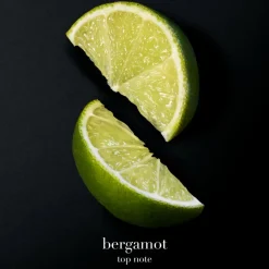 Armani Code Parfum< Eau De Parfum|Parfumer Til Ham