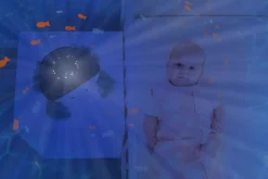 Zazu Cody the Crab Projector<Børn Natlamper|Lys & Lamper