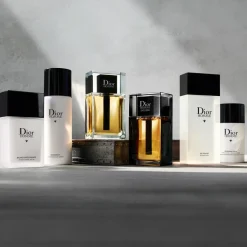 DIOR Homme Deodorant Stick< Deodoranter|Til Ham
