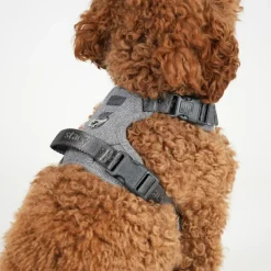 Staey Halsbånd & Seler>Elma Harness