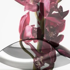 CALVIN KLEIN Euphoria Eau de Parfum< Eau De Parfum|Eau De Parfum