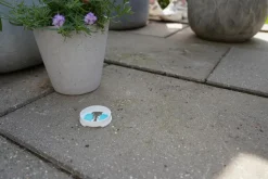 ECOstyle Genopfyldelig myrelokkedåse< Skadedyrsbekæmpelse