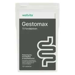 Wellvita Gestomax< Fordøjelse & Fibre