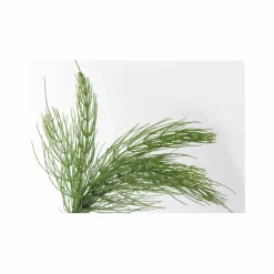 Less Is More Herbal Tonic< Specialkure|Hovedbundspleje