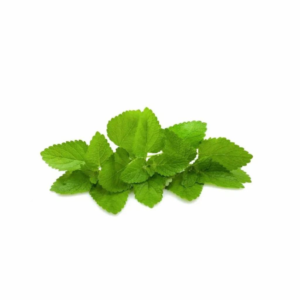 Less Is More Herbal Tonic< Specialkure|Hovedbundspleje