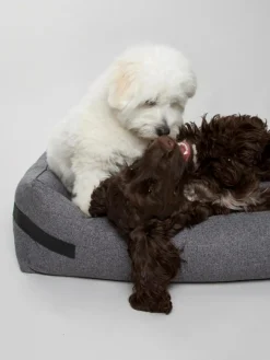 nordog Hundesenge><noscript><img width=