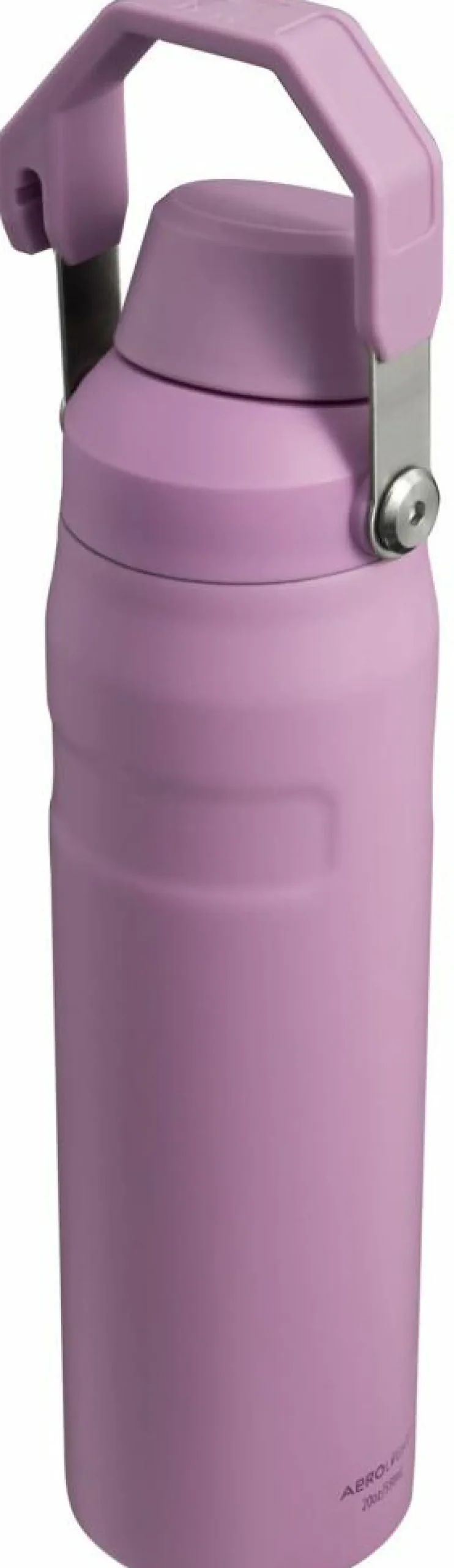 Stanley Drikkedunke>IceFlow Water Bottle Fast Flow 0,6 L