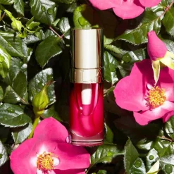 Clarins Lipgloss><noscript><img width=