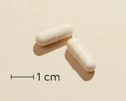 Biosym Ingredienser<Mælkesyrebakterier