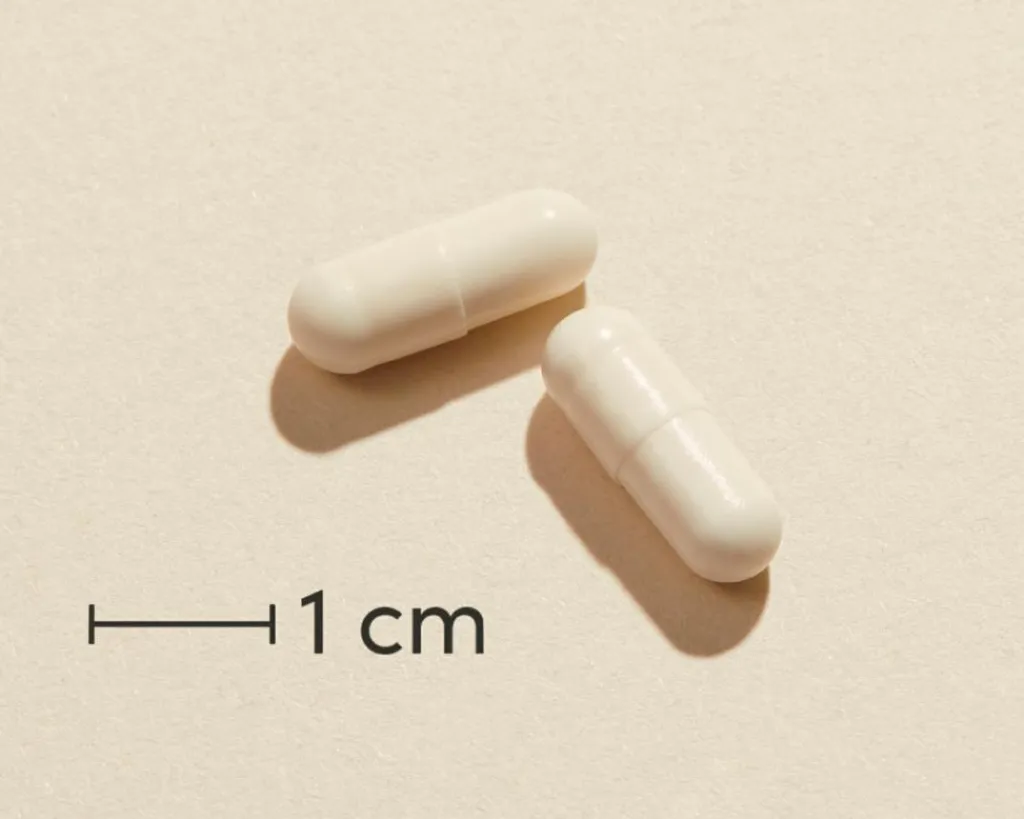 Biosym Ingredienser<Mælkesyrebakterier