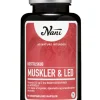 Nani Knogler, Led & Muskler>Muskler & Led