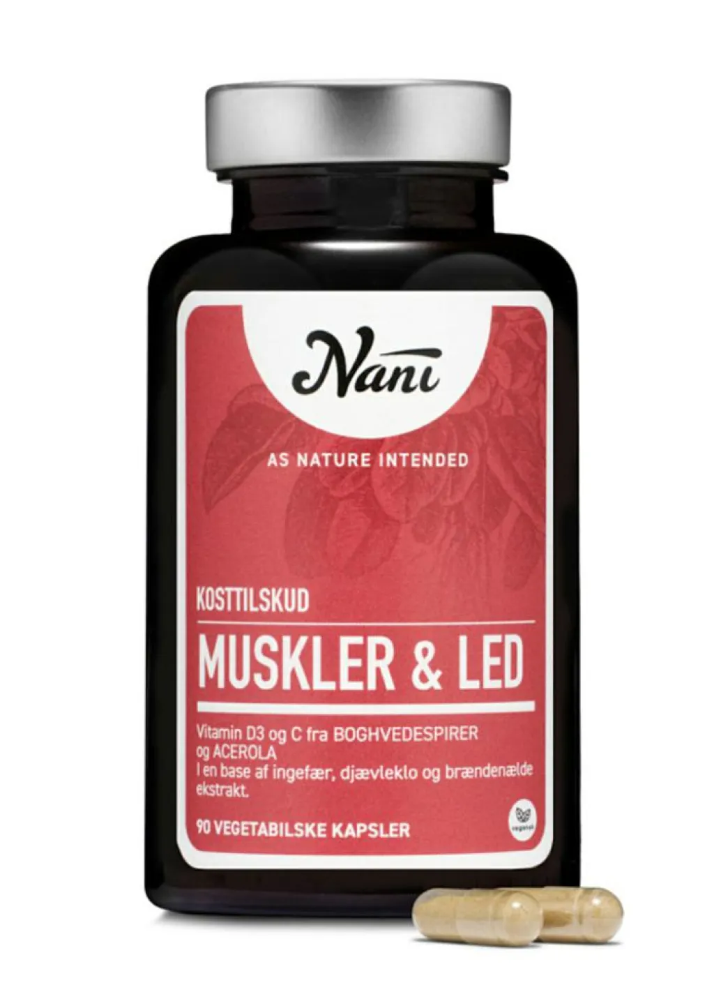 Nani Knogler, Led & Muskler>Muskler & Led