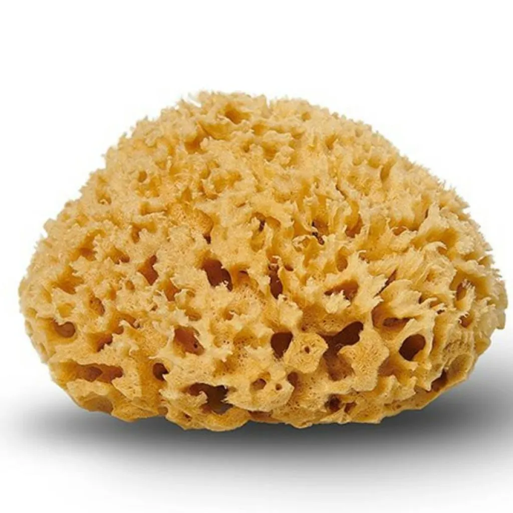 Cocoon Badetilbehør<Natursvamp