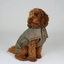 Staey Nora Dog Coat< Øvrigt