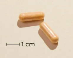 Biosym B-Vitamin>OmniVita B Total