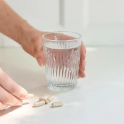 HUSK Psyllium Mavebalance Ingredienser|Fordøjelse & Fibre<Psyllium Mavebalance