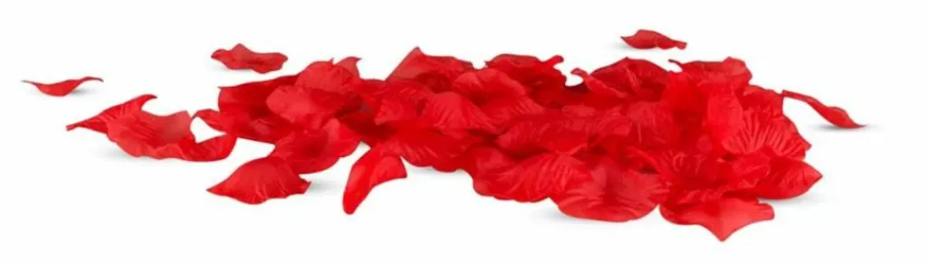 EasyToys Erotiske Spil>Romantic Weekend Play Par Sæt