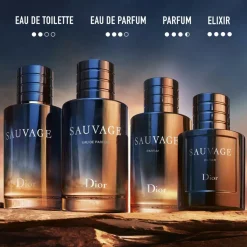 DIOR Eau De Toilette|Eau De Toilette<Sauvage Eau de Toilette