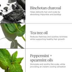 Briogeo Hovedbundspleje<Scalp Revival Charcoal + Tea Tree Cooling Hydration Scalp Mask