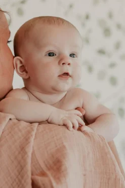 BIBS Pusletid>Stofbleer
