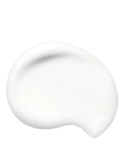 Shiseido Primer>Synchro Skin Primer