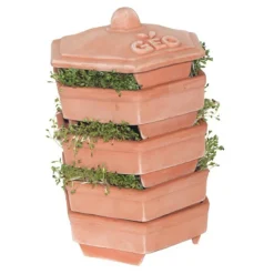 Biogan Terracotta Sprouter< Køkken & Bord