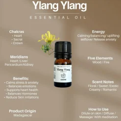 COOHÉ Duftolier<Ylang ylang Essential Oil